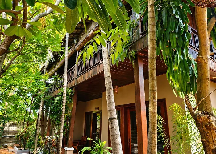 Jumanji Guest house